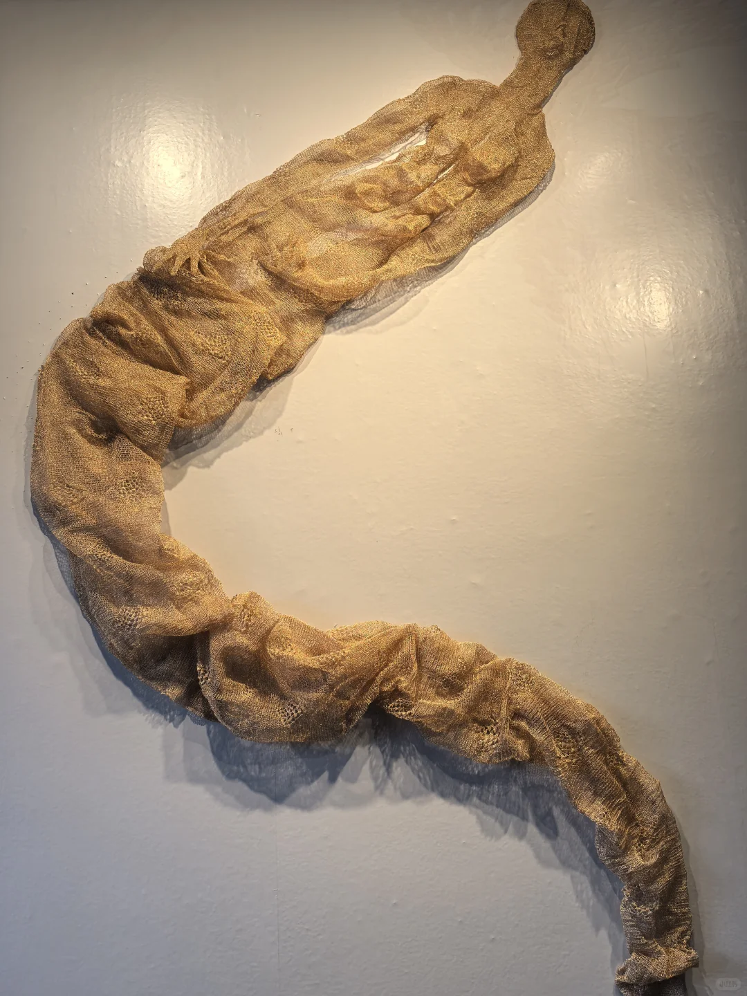 现实版脱水后的三体人