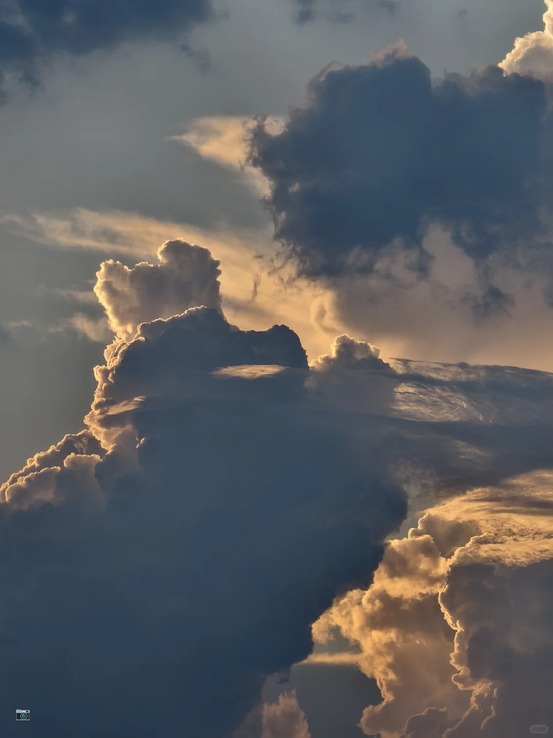 Day193大作文:乡村|产业|乡村振兴