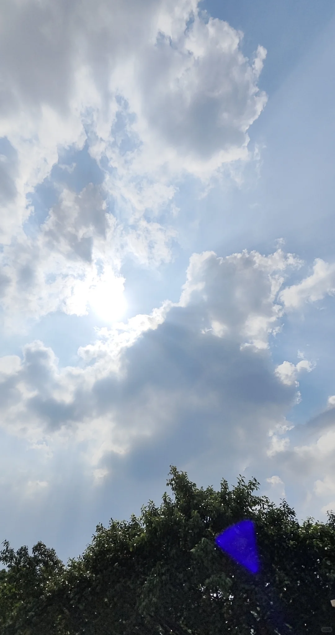 采购部新人上班的第八天