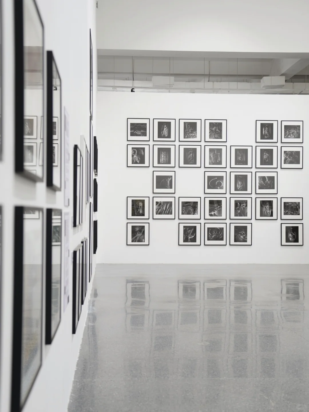 活动记录｜西安美术馆十五周年馆庆系列活动