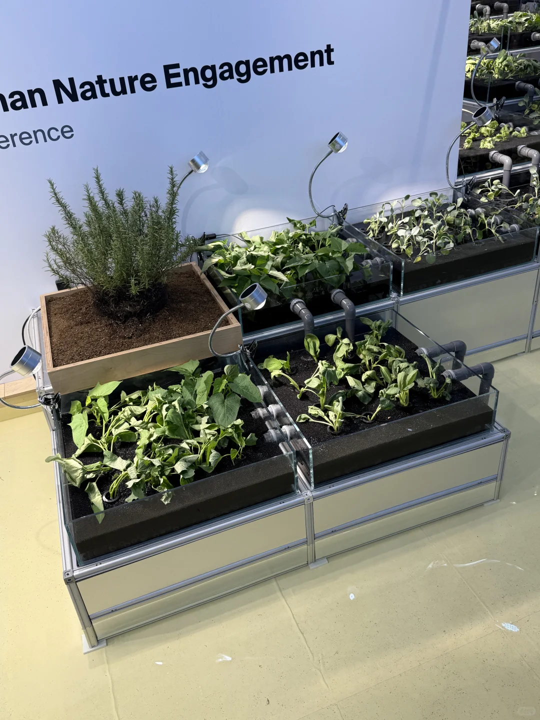 去2025上海设计100+布了个展