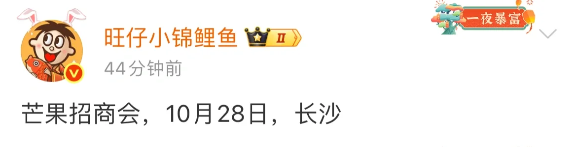 芒果招商会要来啦