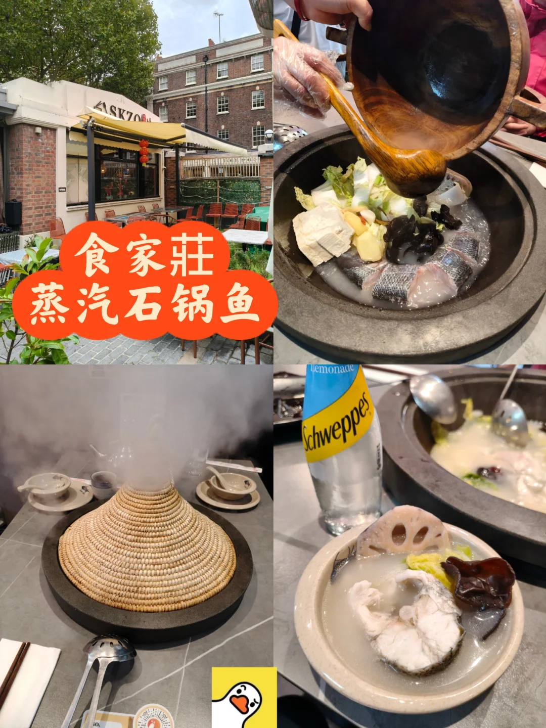 ??蒸汽石锅鱼太鲜了!连喝三碗鱼汤