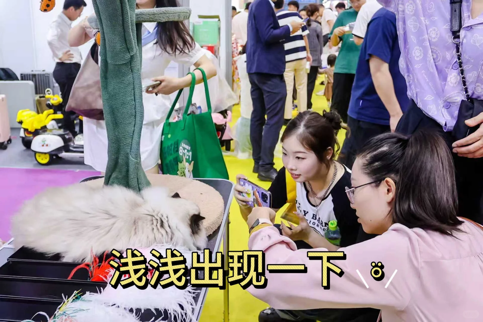 第14届深圳国际宠物展来啦