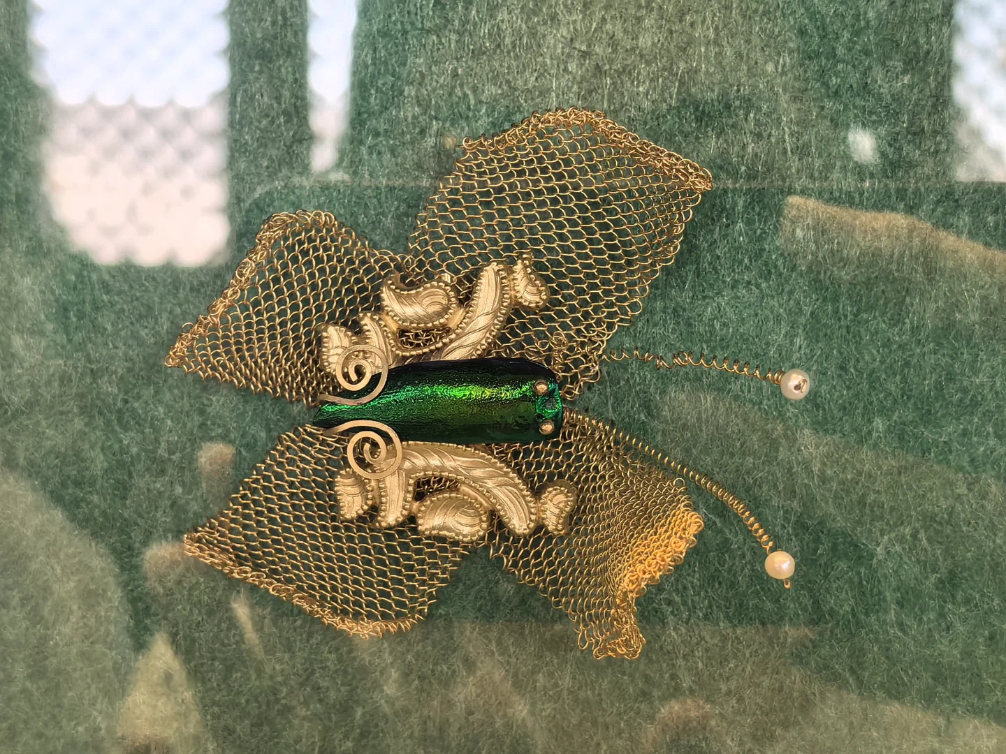 现实版脱水后的三体人