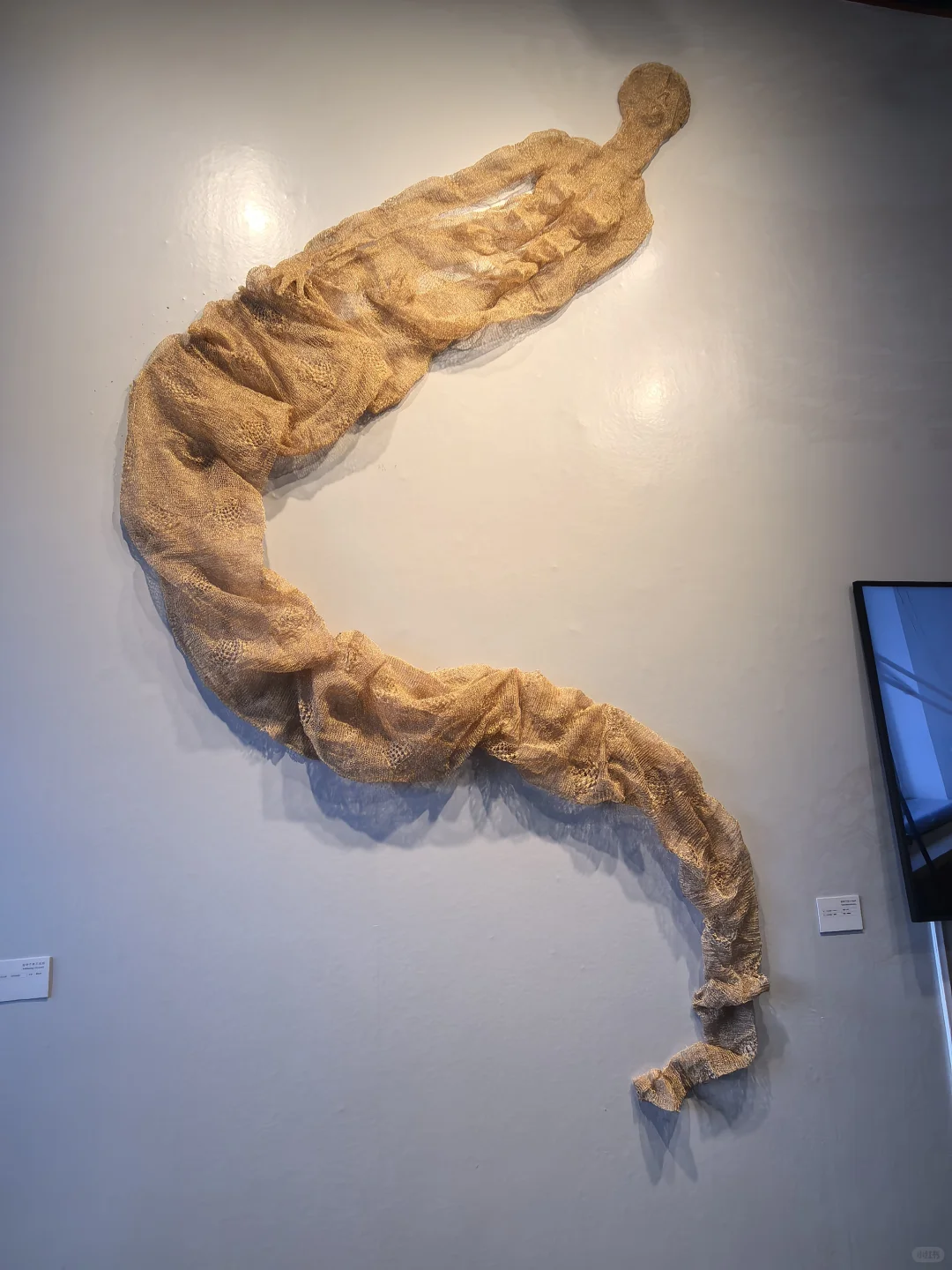 现实版脱水后的三体人