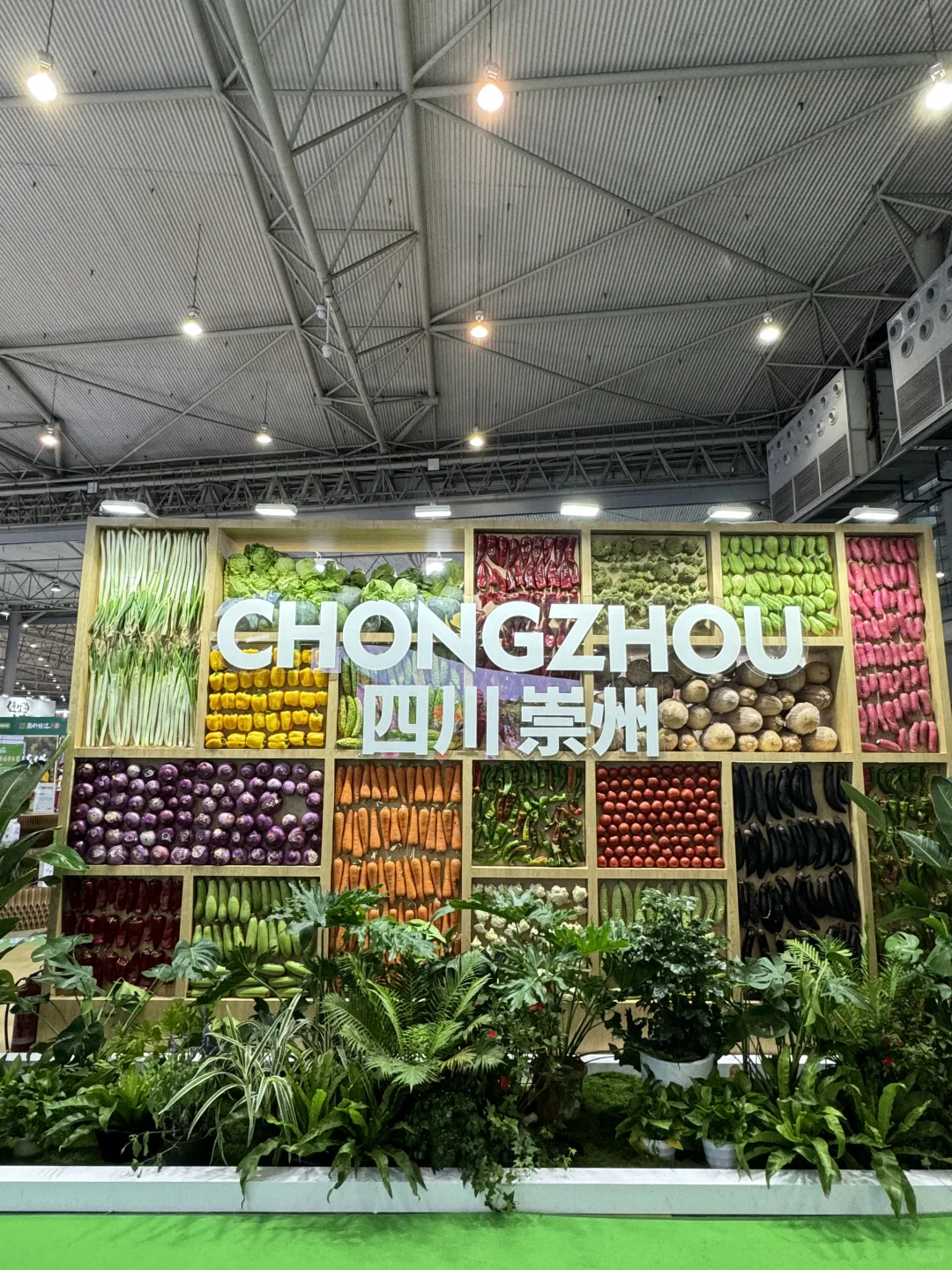 逛农博会逛到腿软!这波真的没白来