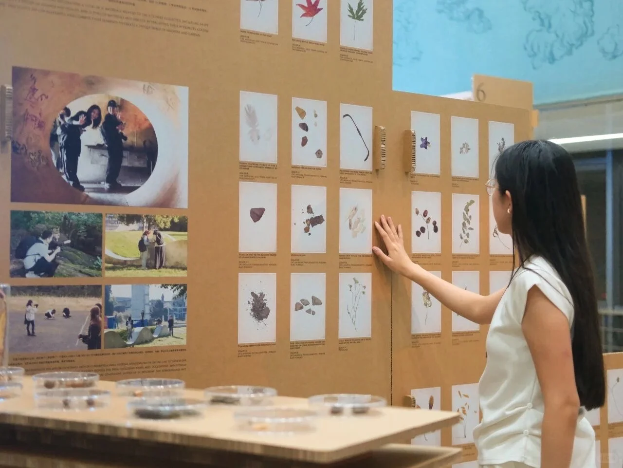 重构机器与花园 开展了哦