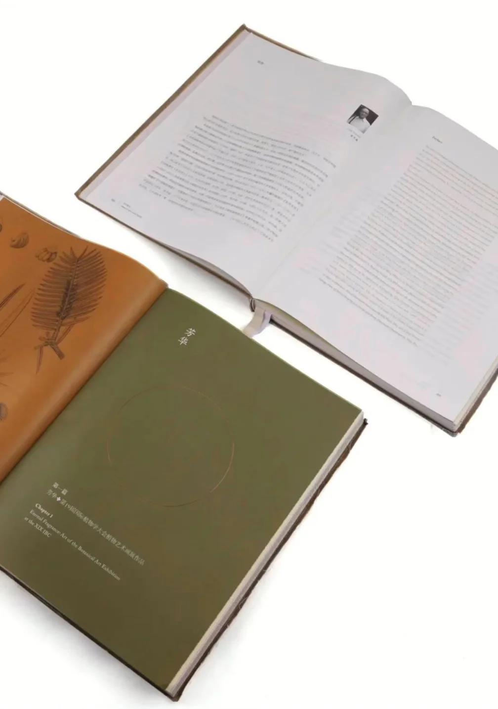 10.10截止:一场展览读懂深圳平面设计三十年