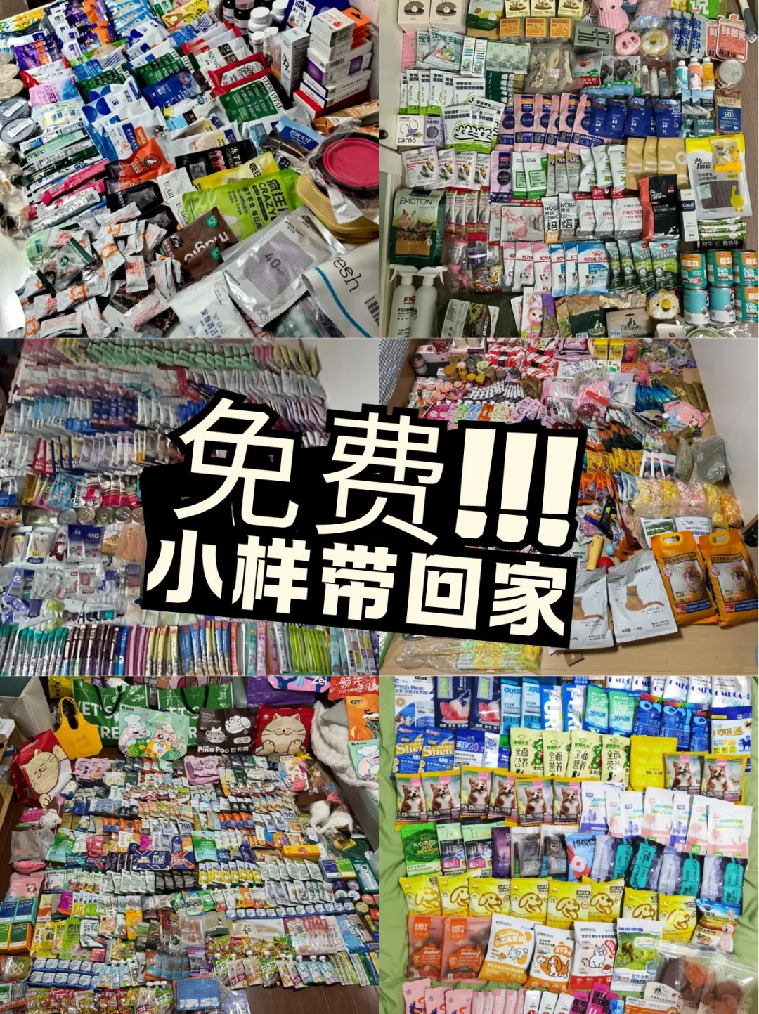 杭州国际宠物展又来啦?好玩好逛好多羊毛