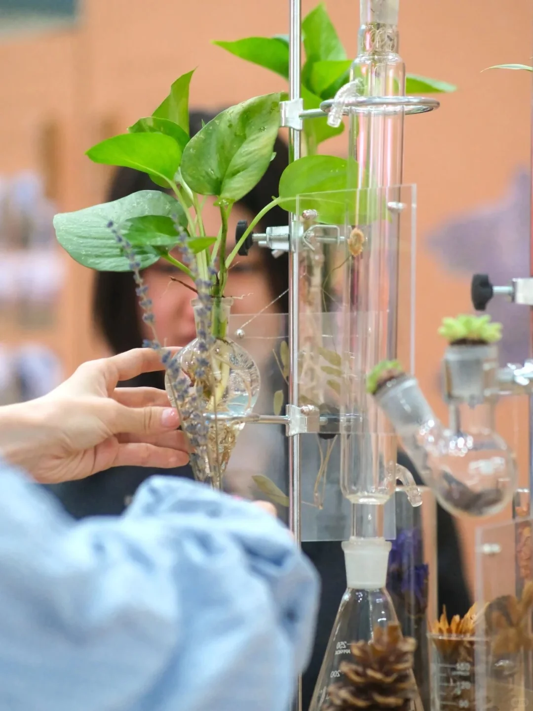 重构机器与花园 开展了哦