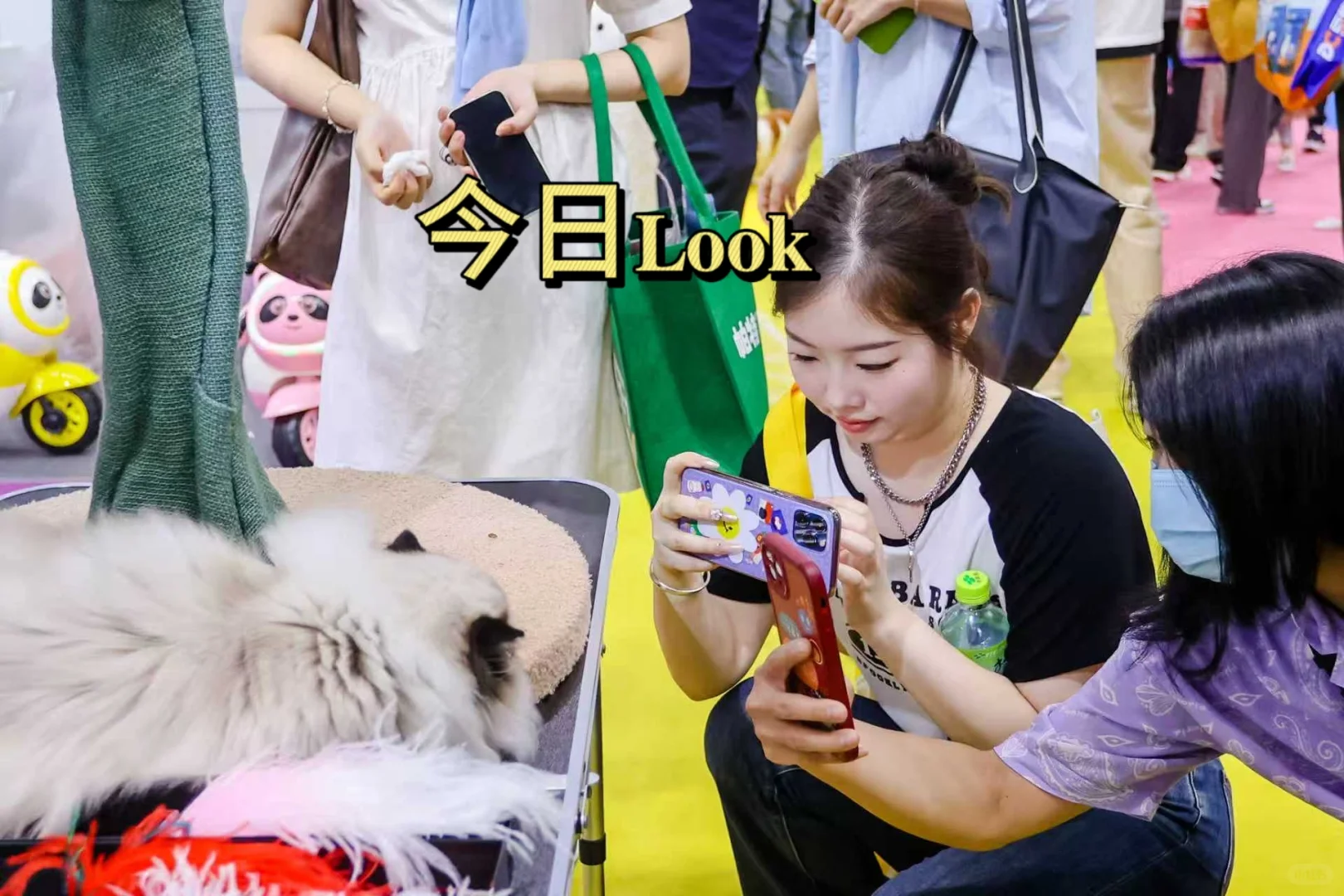 第14届深圳国际宠物展来啦