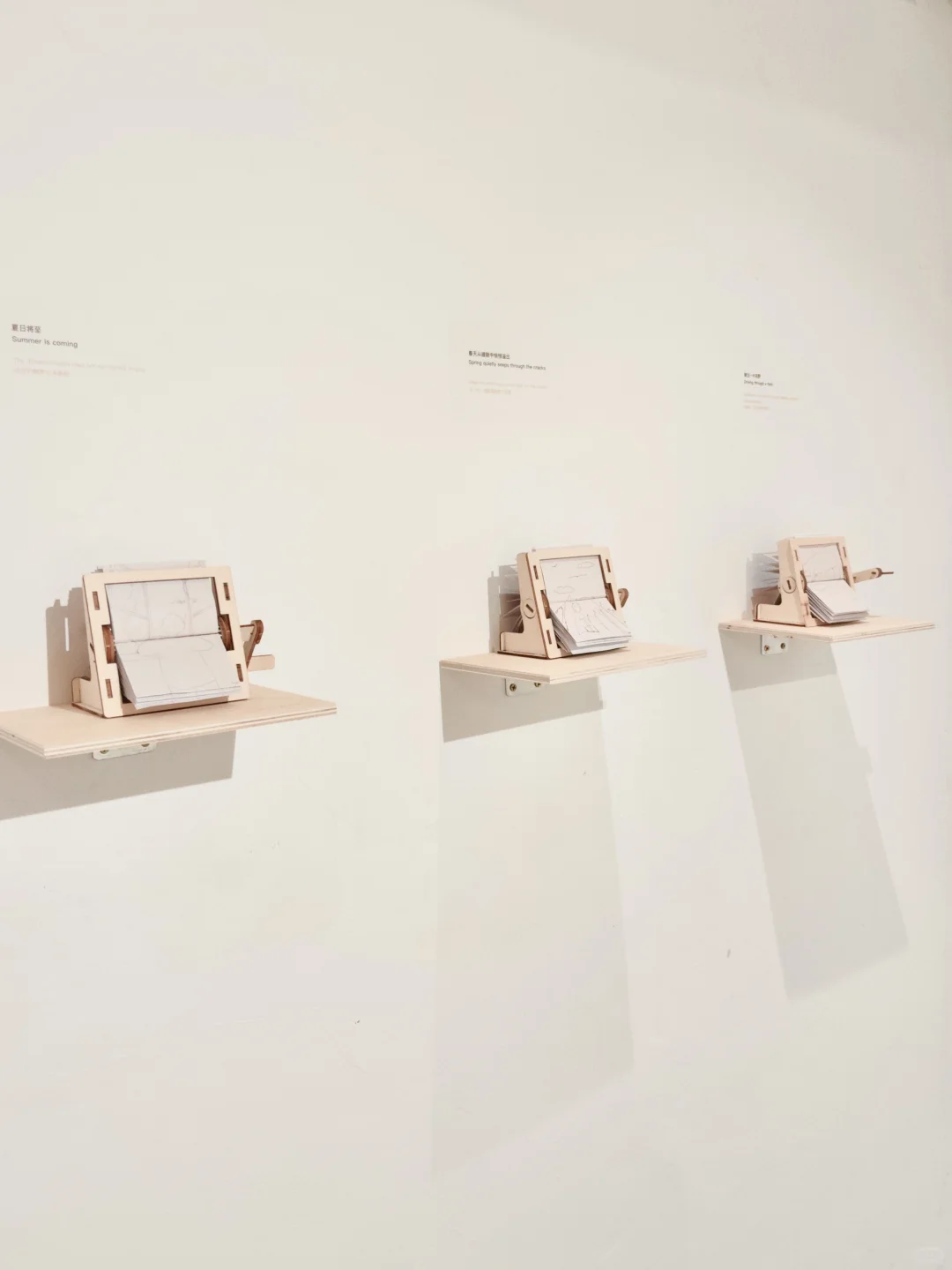 一个小的展：于停顿间生长