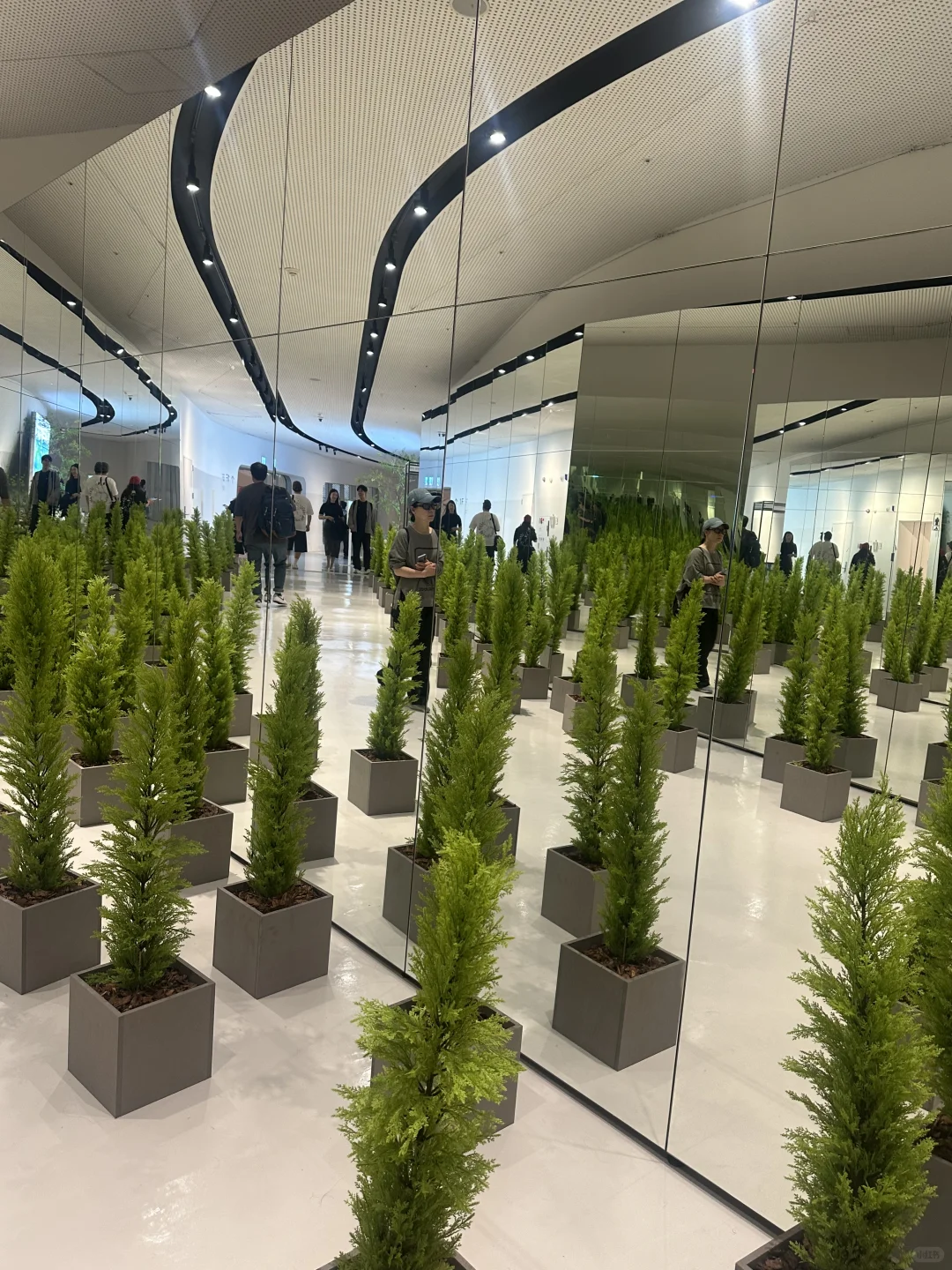 ??艺术花园｜东大门免费展览，无需预约?