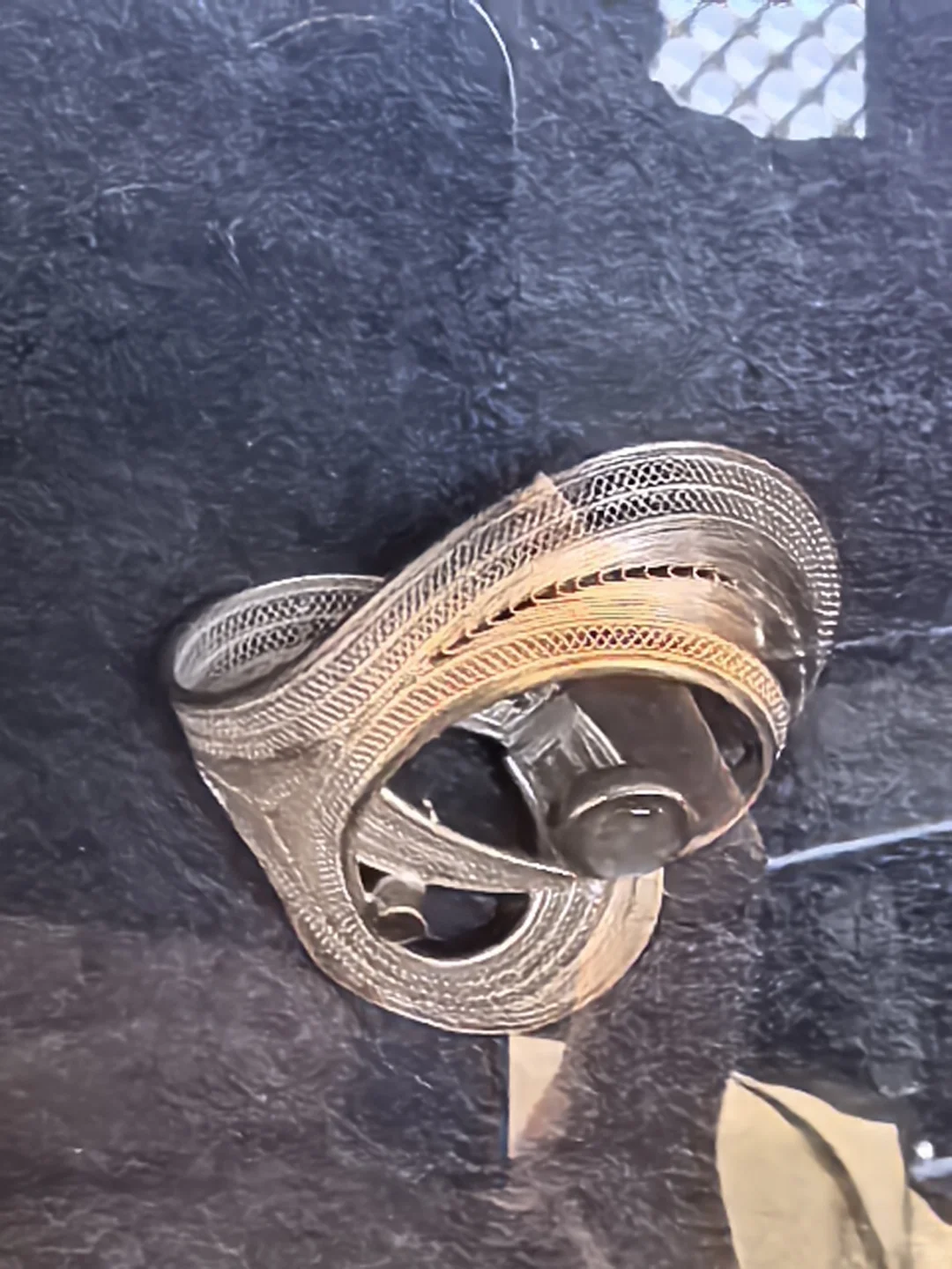 现实版脱水后的三体人