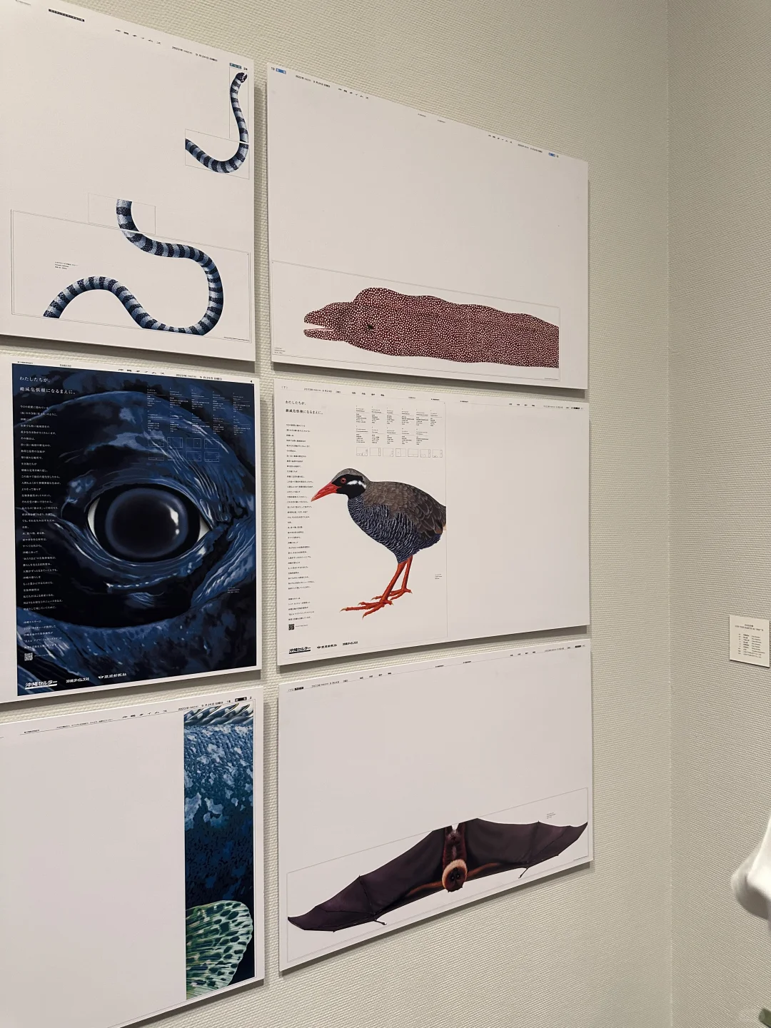 ADC设计展｜闭展之前的幸运