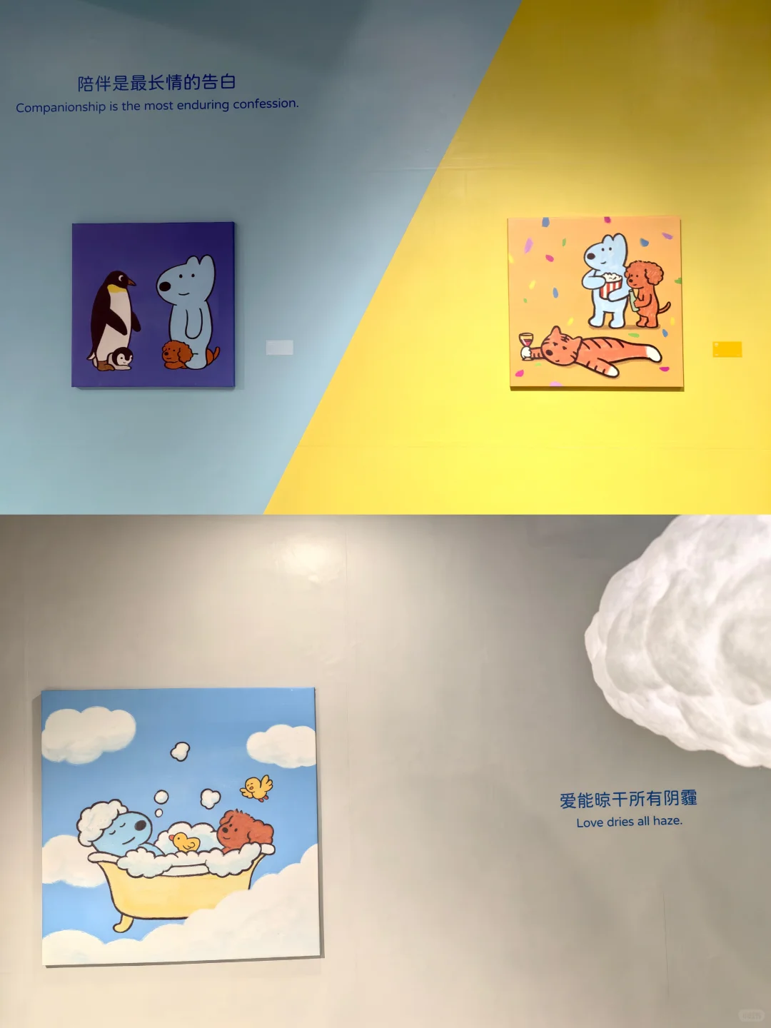 长沙新展|宠物友好的治愈小狗展免费看!