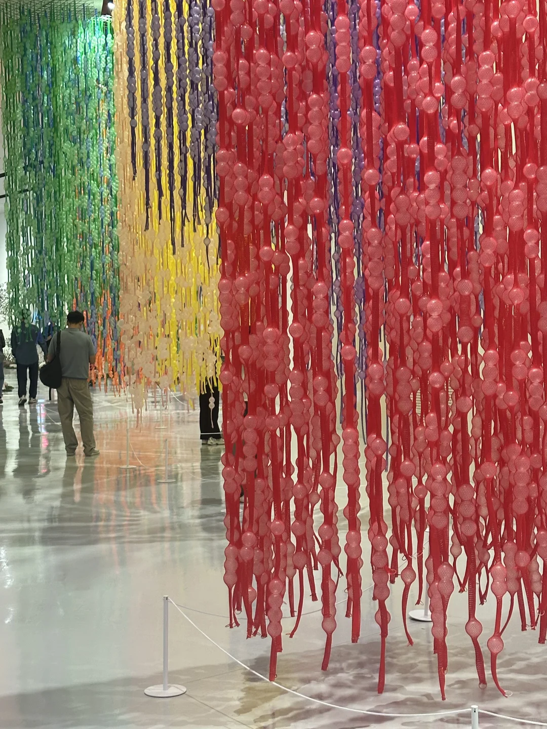 ??艺术花园｜东大门免费展览，无需预约?