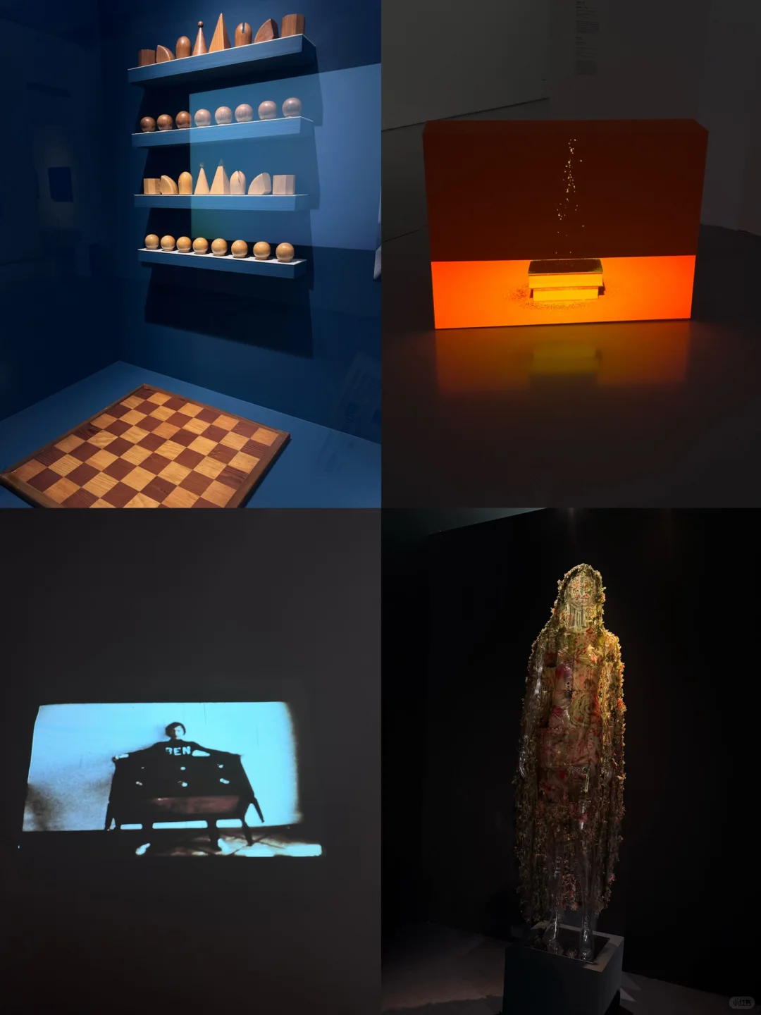 可以和你一起看展吗?