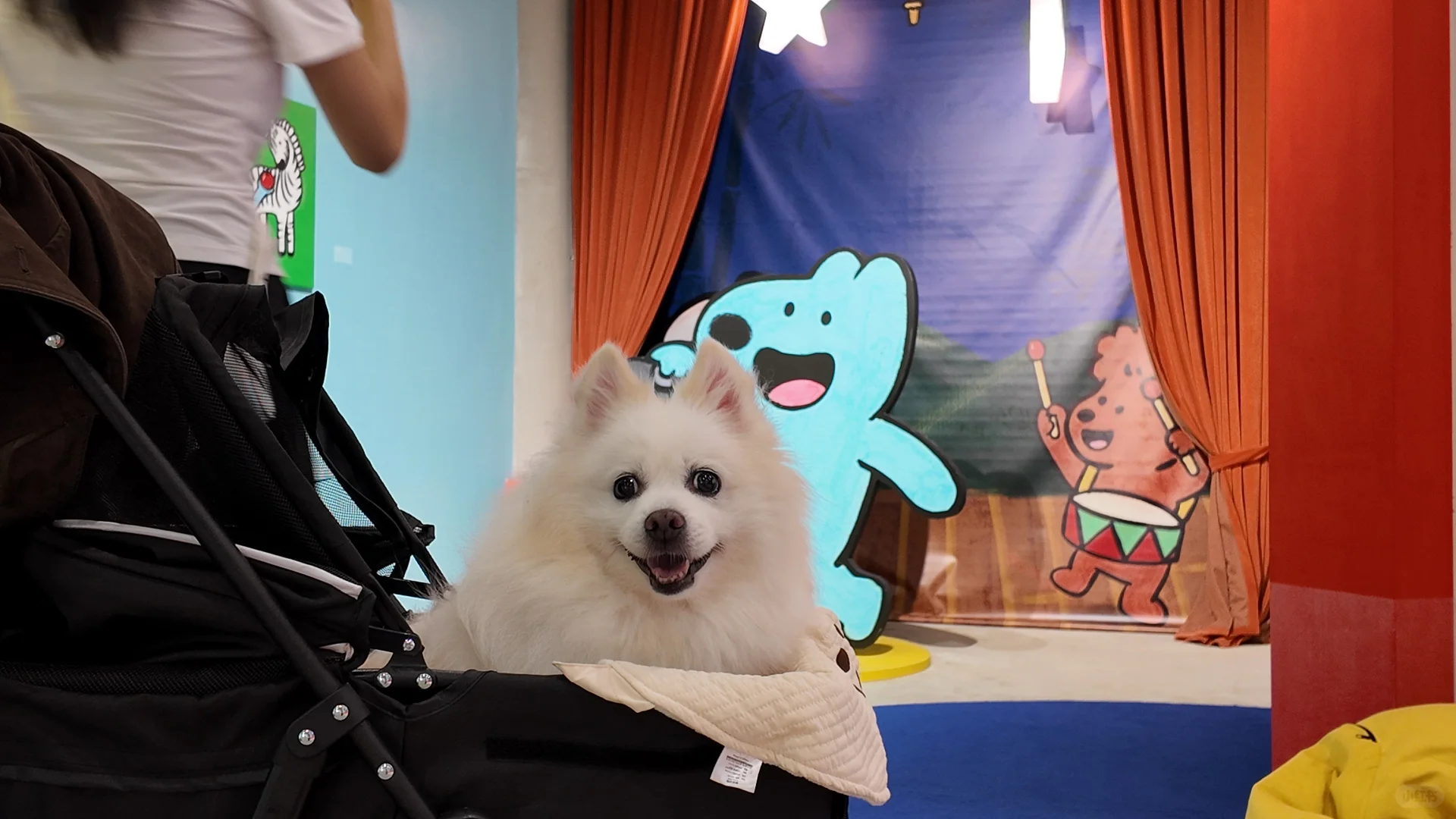 长沙油脂厂带小狗看了个狗狗展