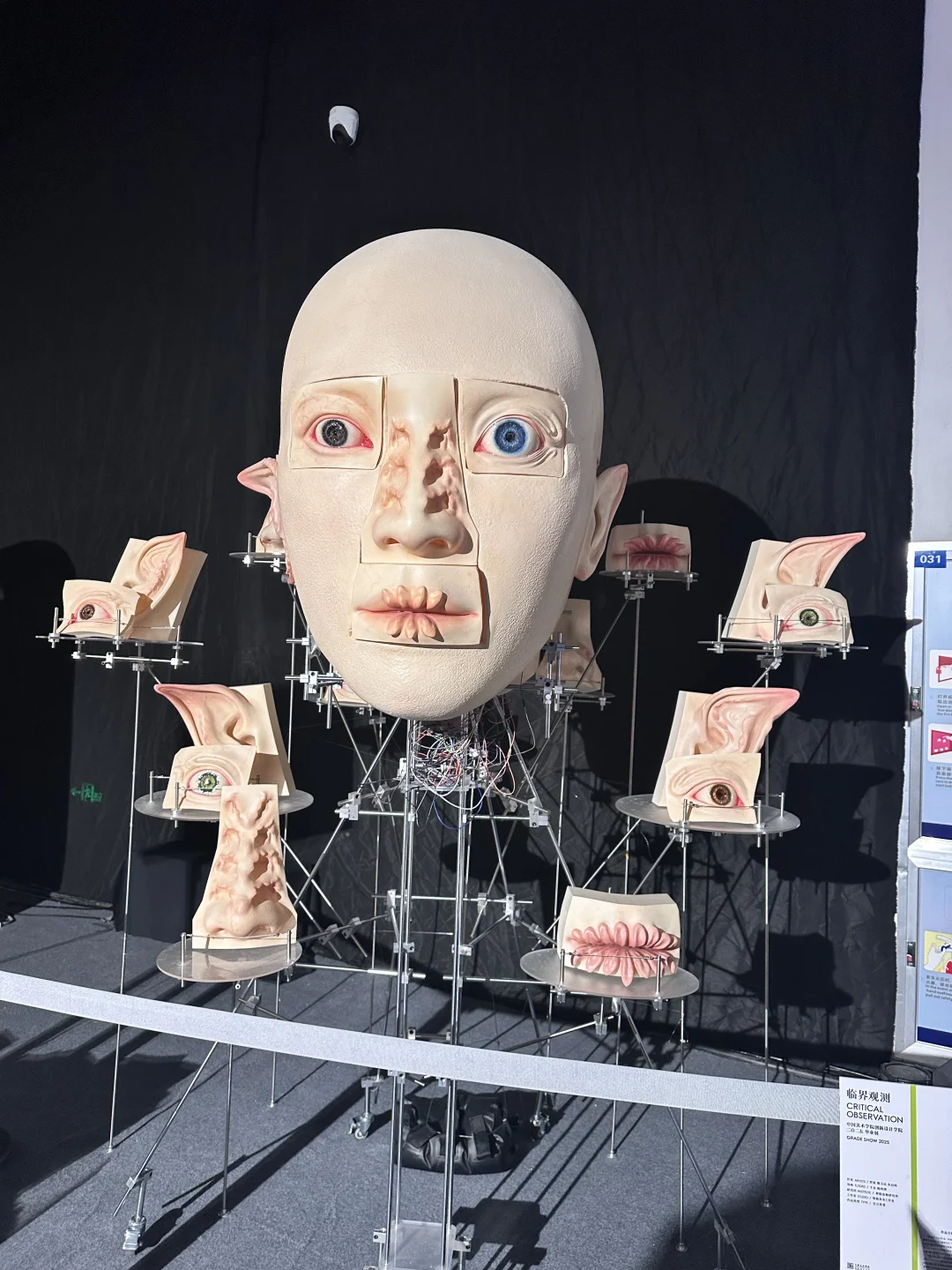 美院毕业展
