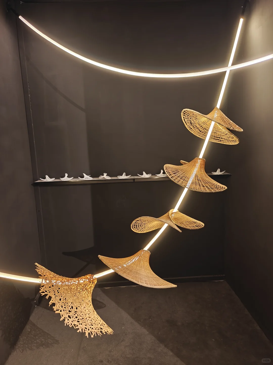 2025中央美院研究生毕业作品展