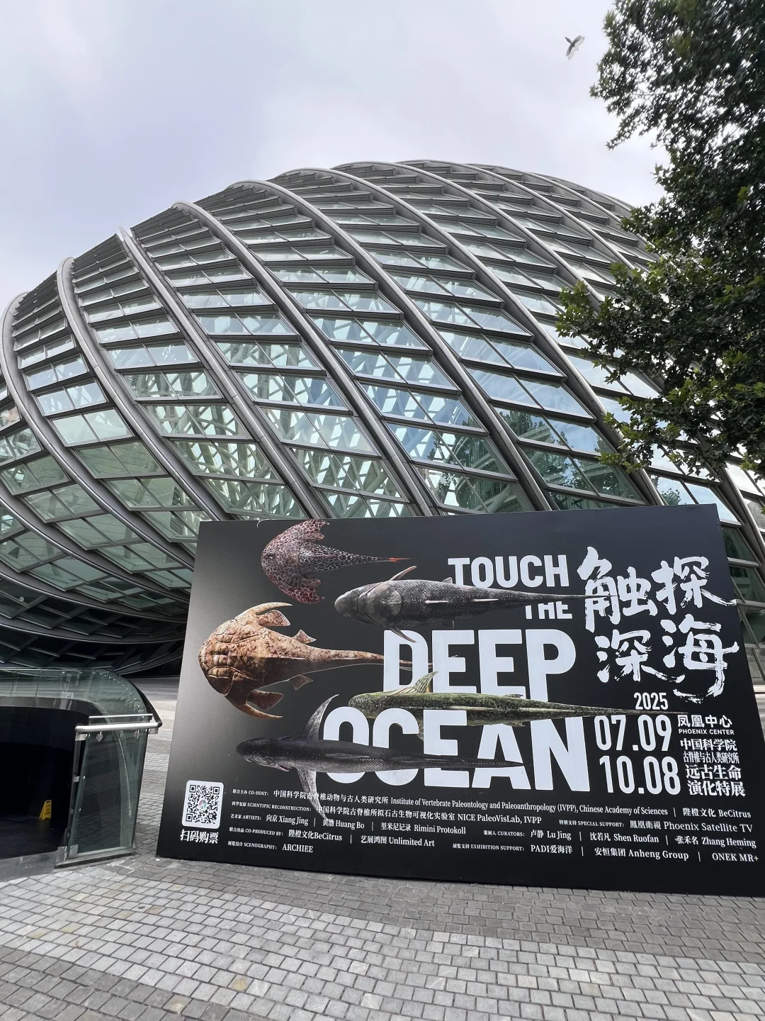 《触摸深海》特展，不看真的很遗憾！