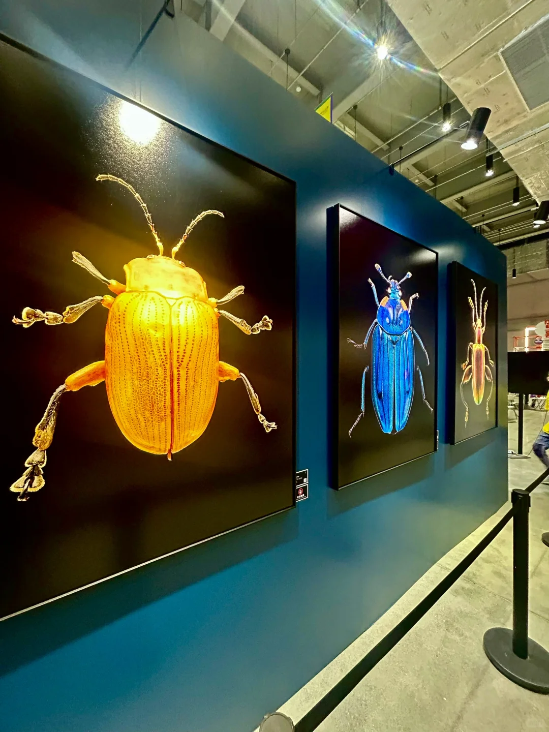 打卡北京国际设计周?｜听报告&看展