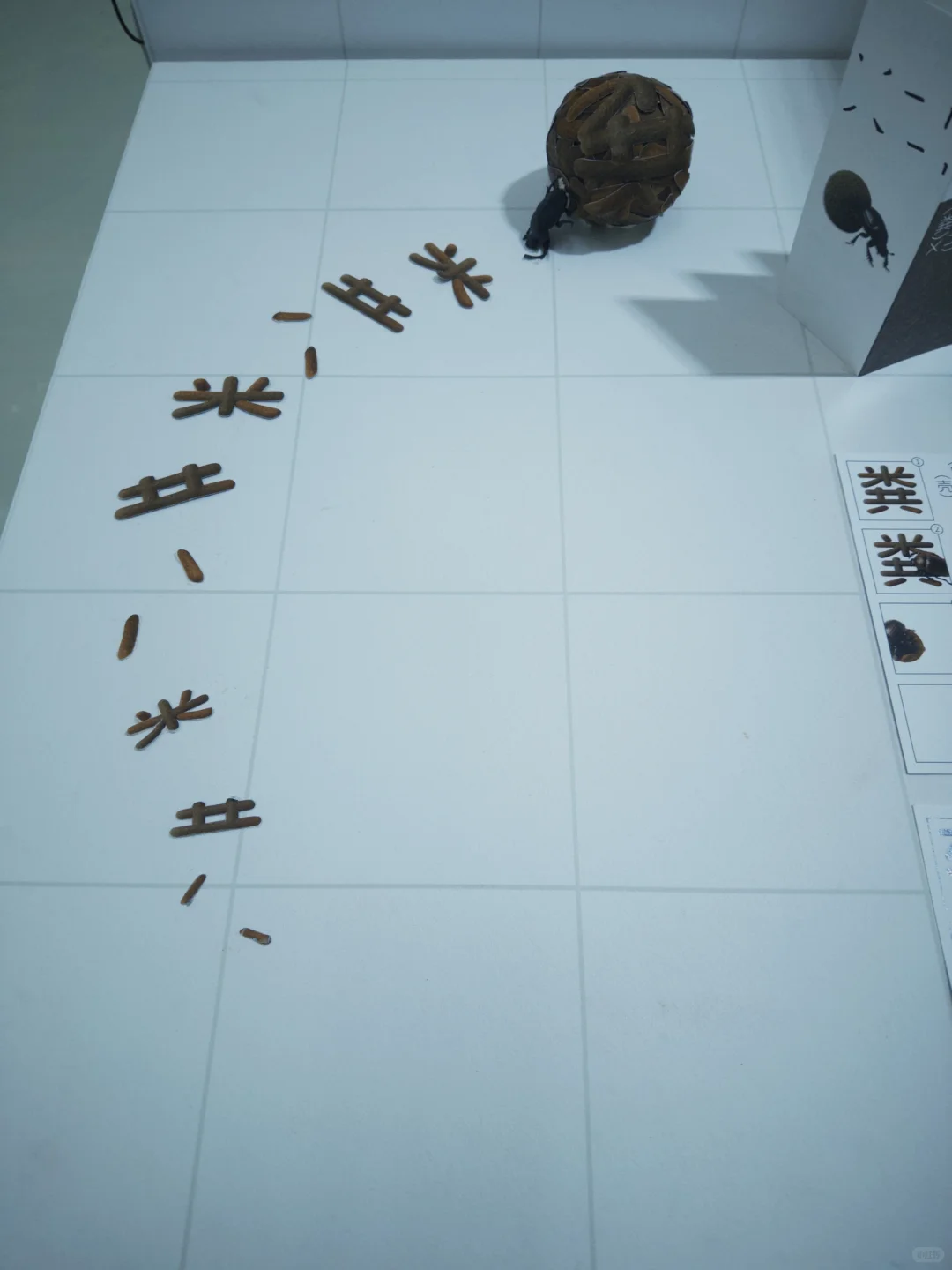 美院毕业展