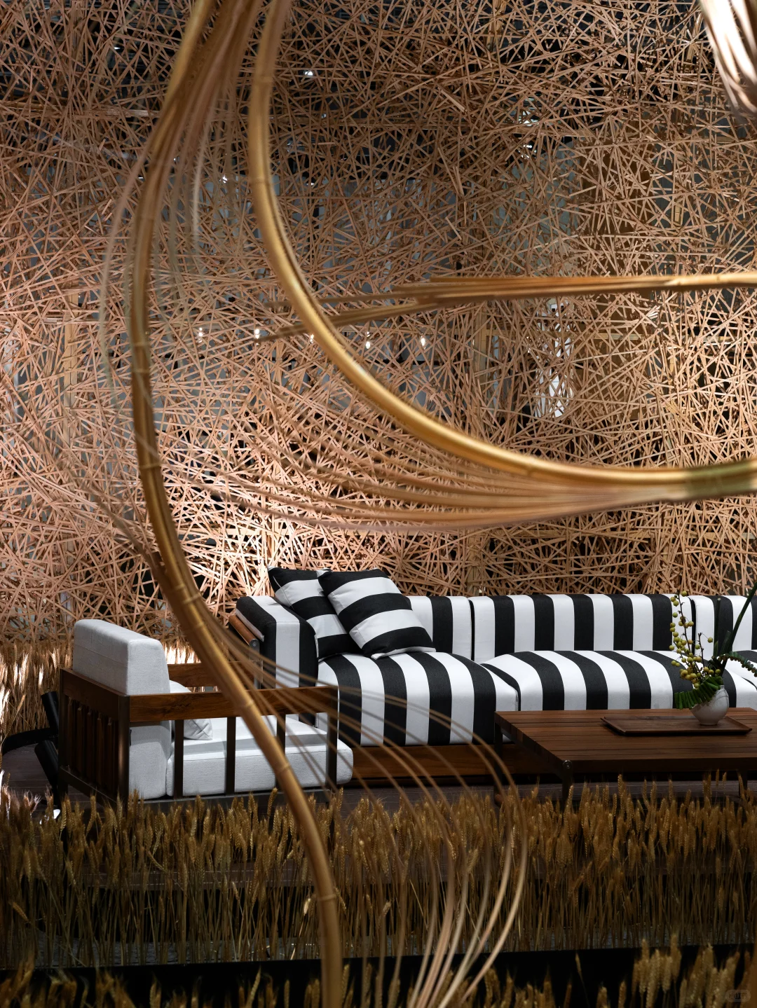 ?云看展 | 隐琢「界外生长」线上展览