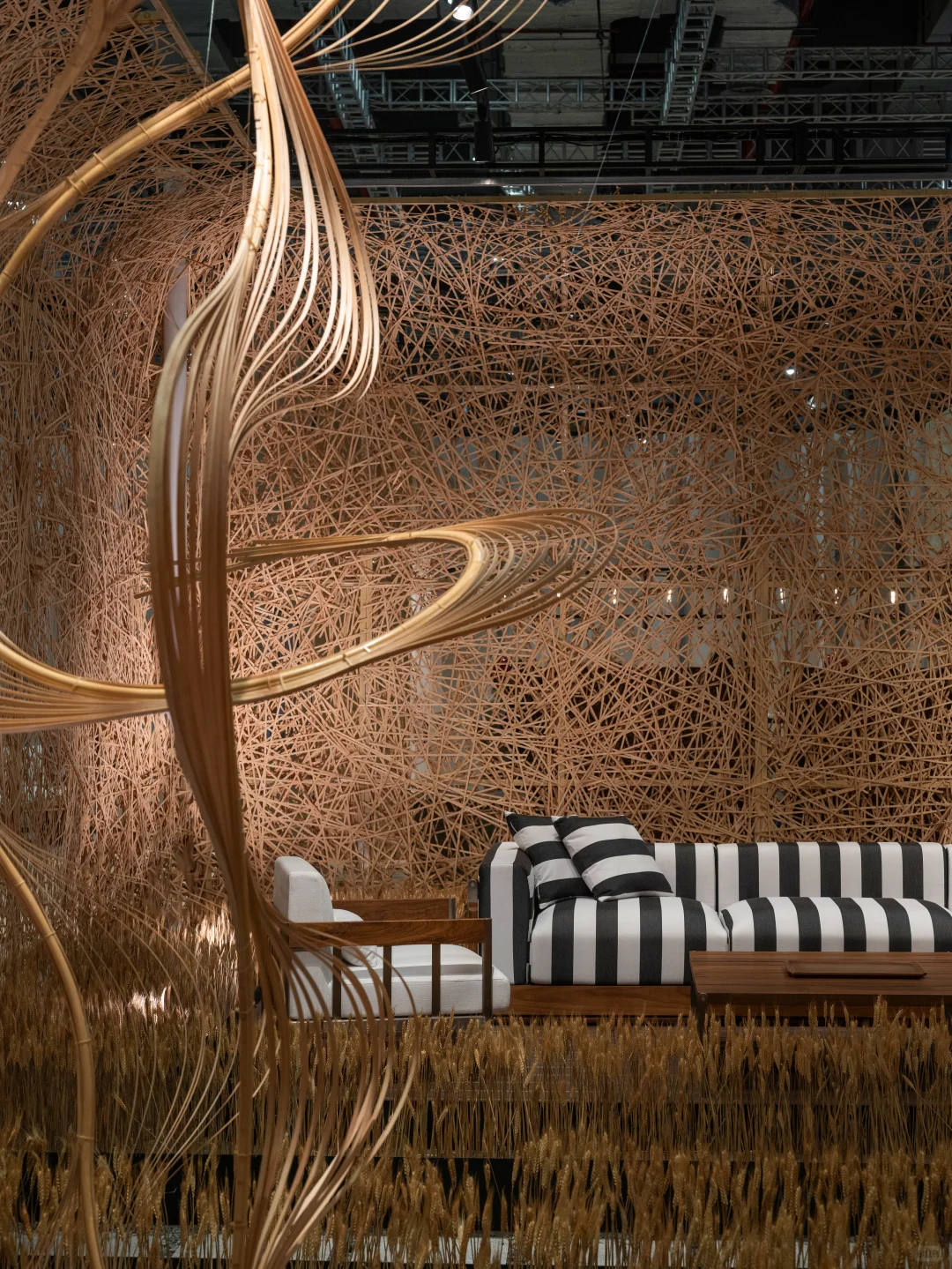 ?云看展 | 隐琢「界外生长」线上展览