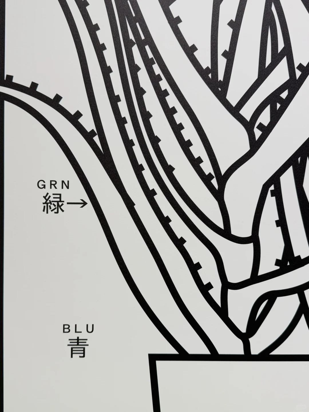 展览现场|菊地敦己:空间中的图形?