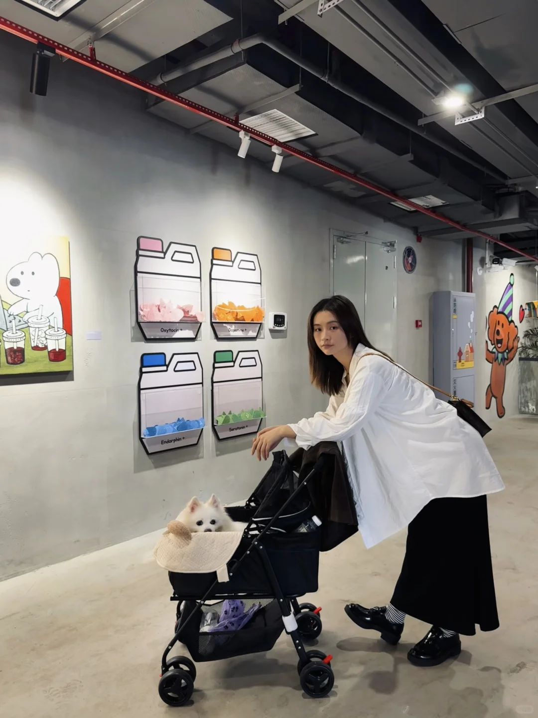 长沙油脂厂带小狗看了个狗狗展