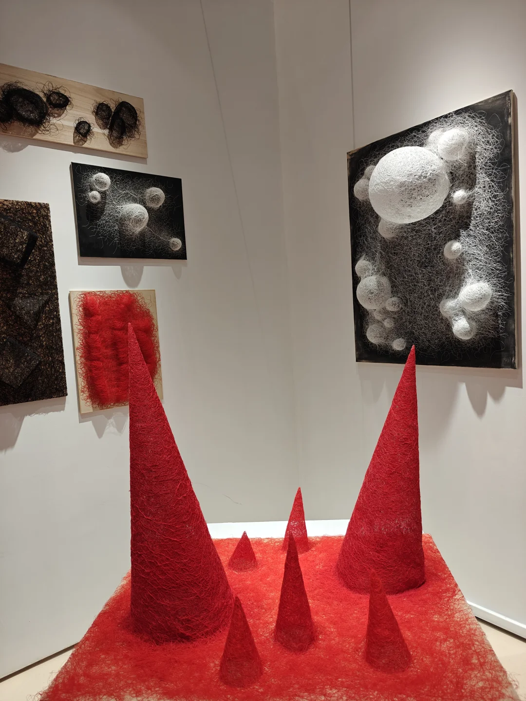 2025中央美院研究生毕业作品展