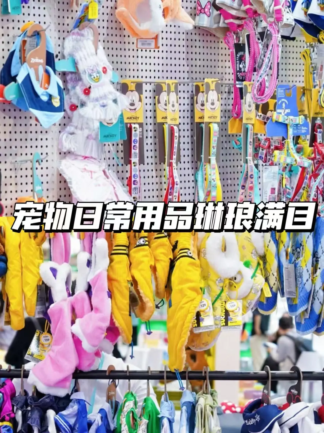 10月杭州第六届华东宠物展一起呀！