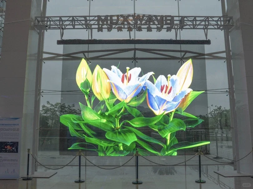 深圳这个展带您开启新“视”界→