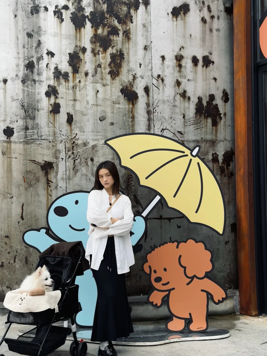 长沙油脂厂带小狗看了个狗狗展