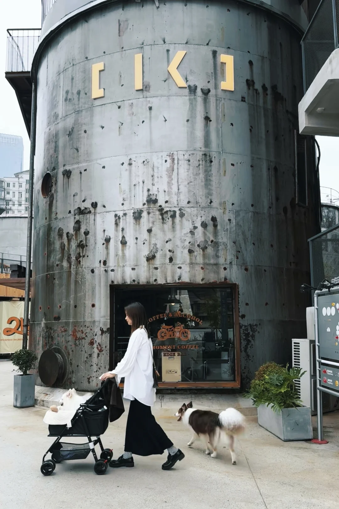 长沙油脂厂带小狗看了个狗狗展