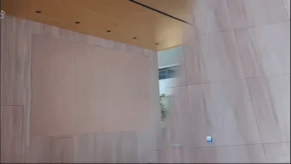 深圳这个展带您开启新“视”界→