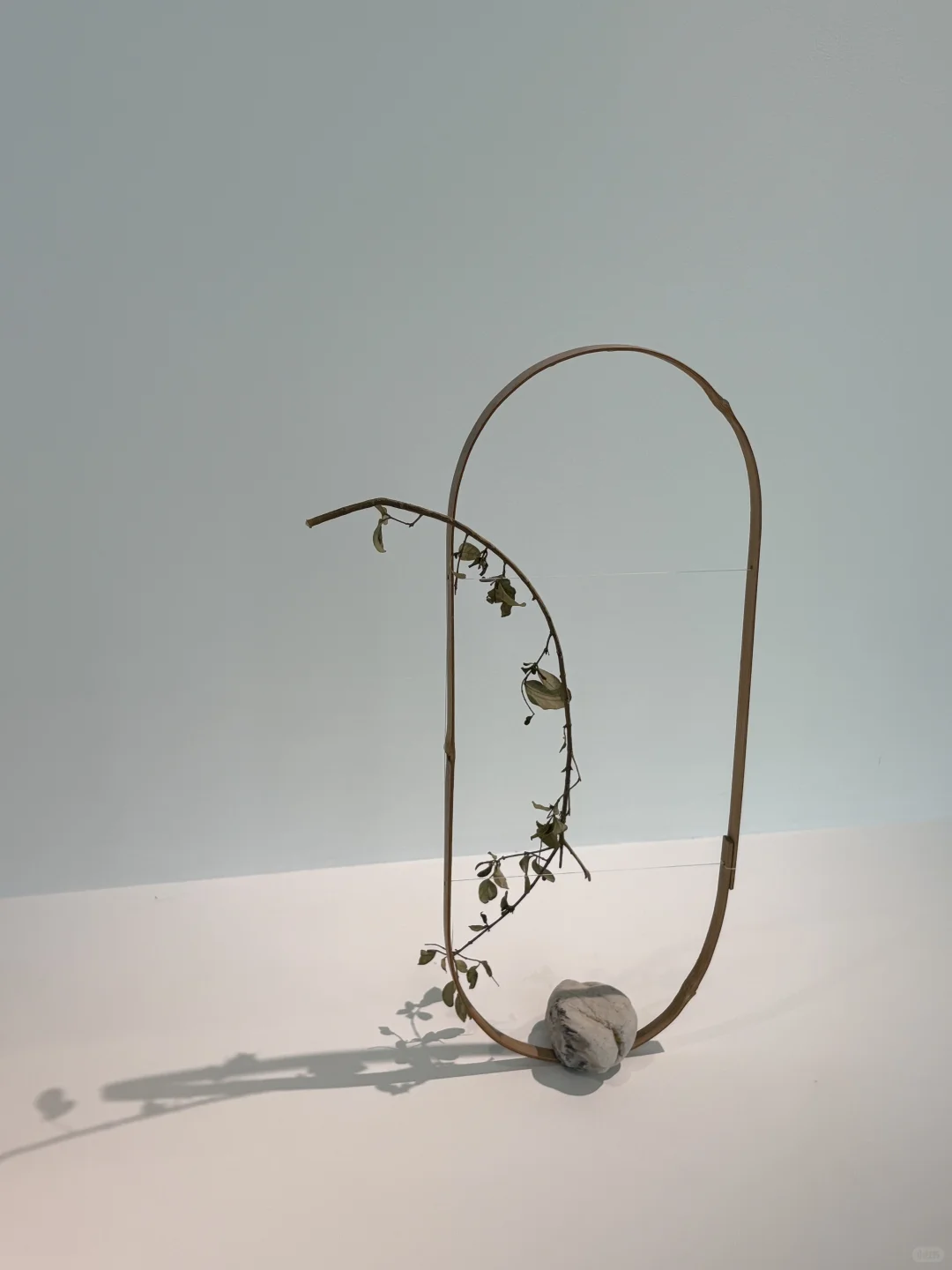 小而美的武藏野设计展