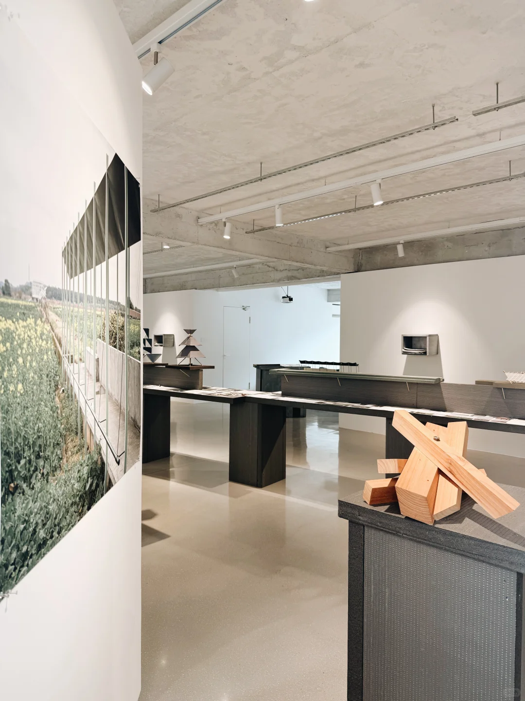 成都 / 周末漫步玉林颂