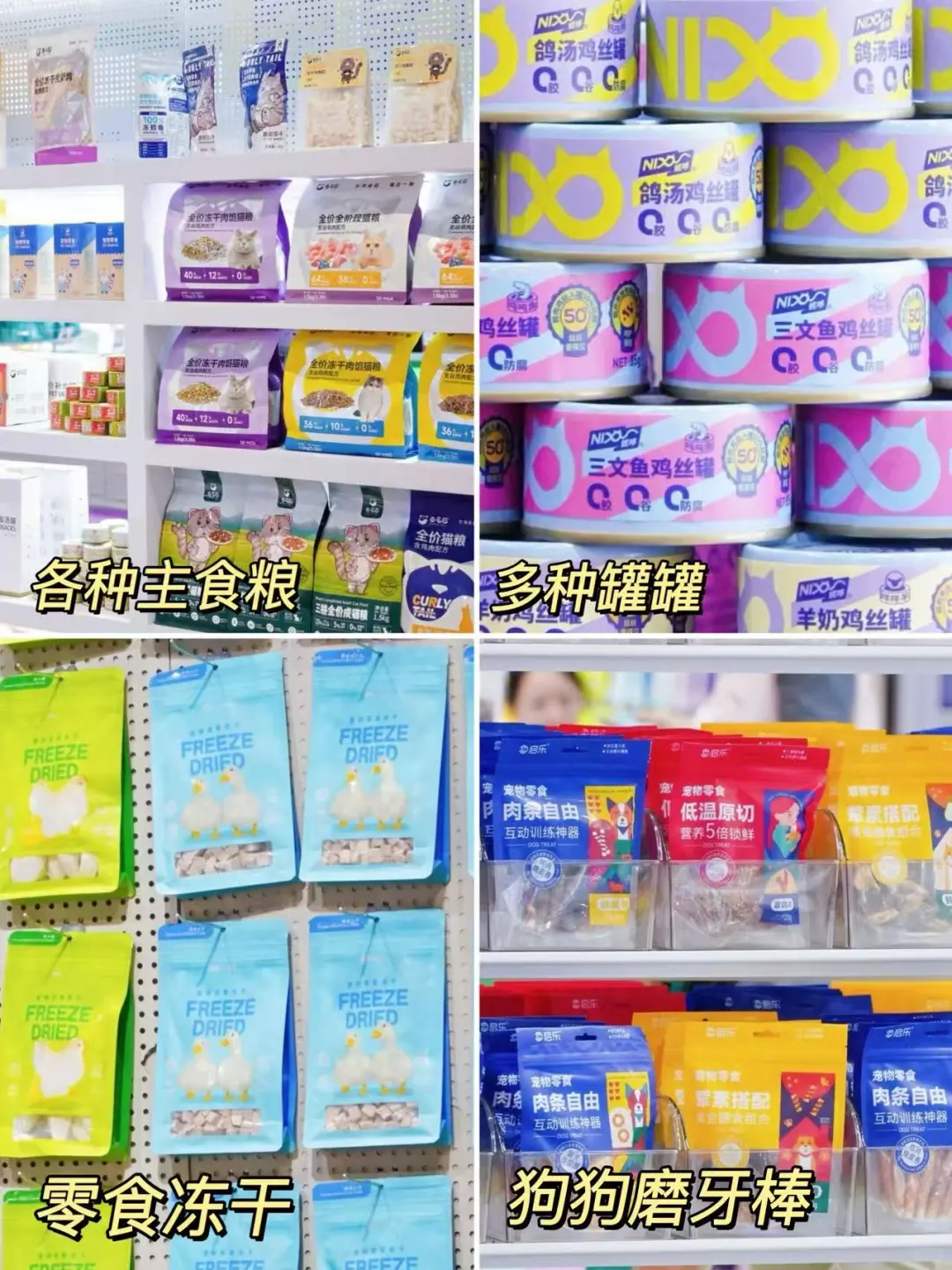 10月杭州第六届华东宠物展一起呀！