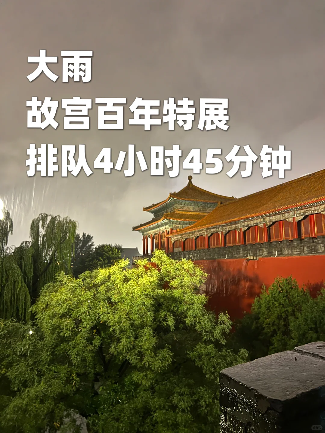 故宫百年大展,我一定不是排队最久的