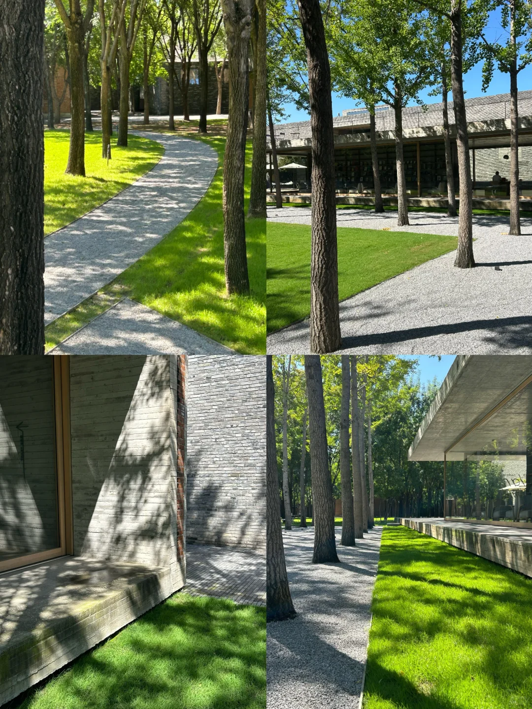 北京新展? 接近“荷兰最美的书”