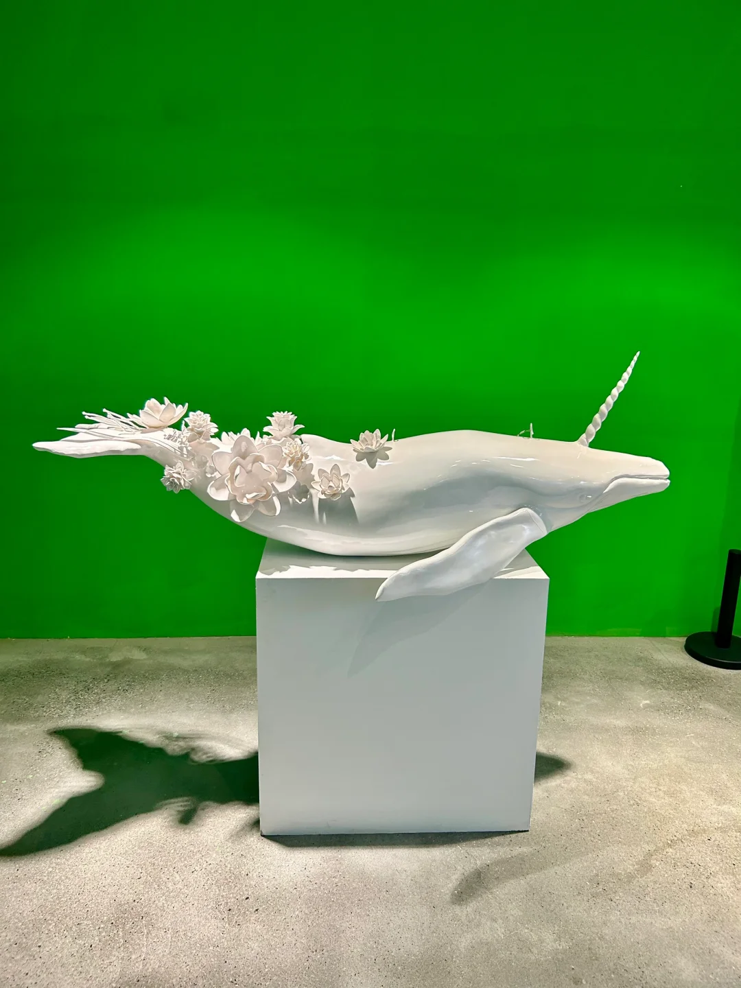 打卡北京国际设计周?｜听报告&看展