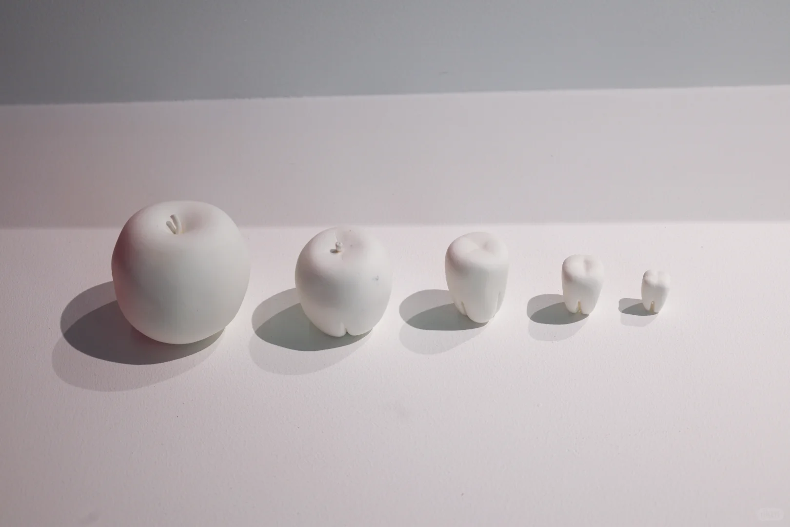 形态的诗学:武藏野美术大学基础设计系展