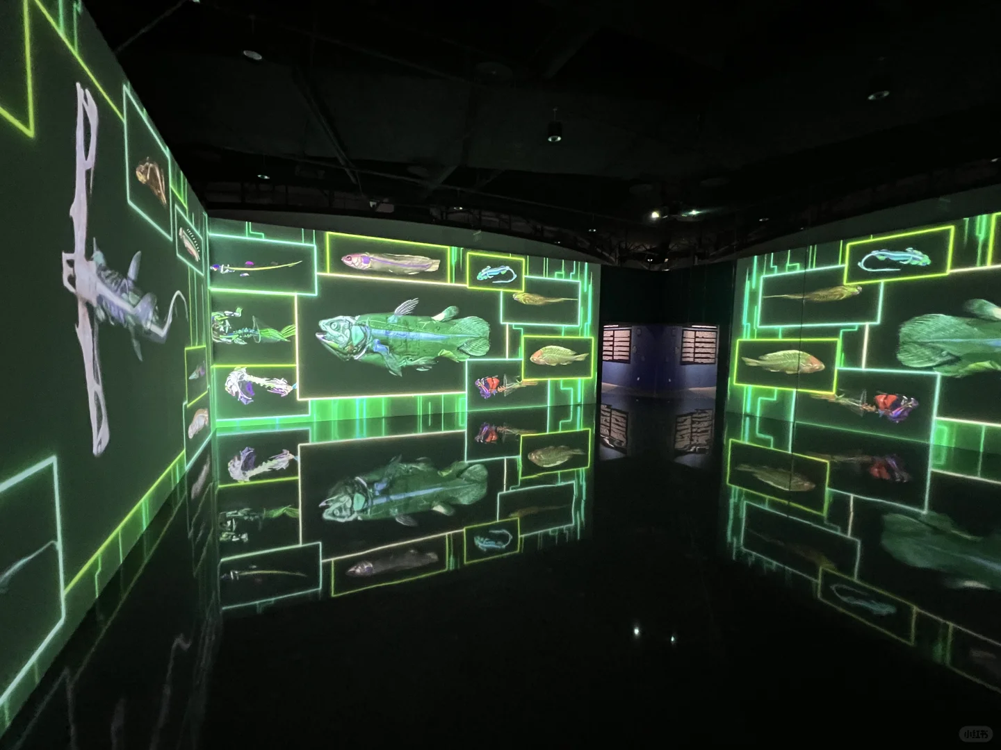 《触摸深海》特展，不看真的很遗憾！