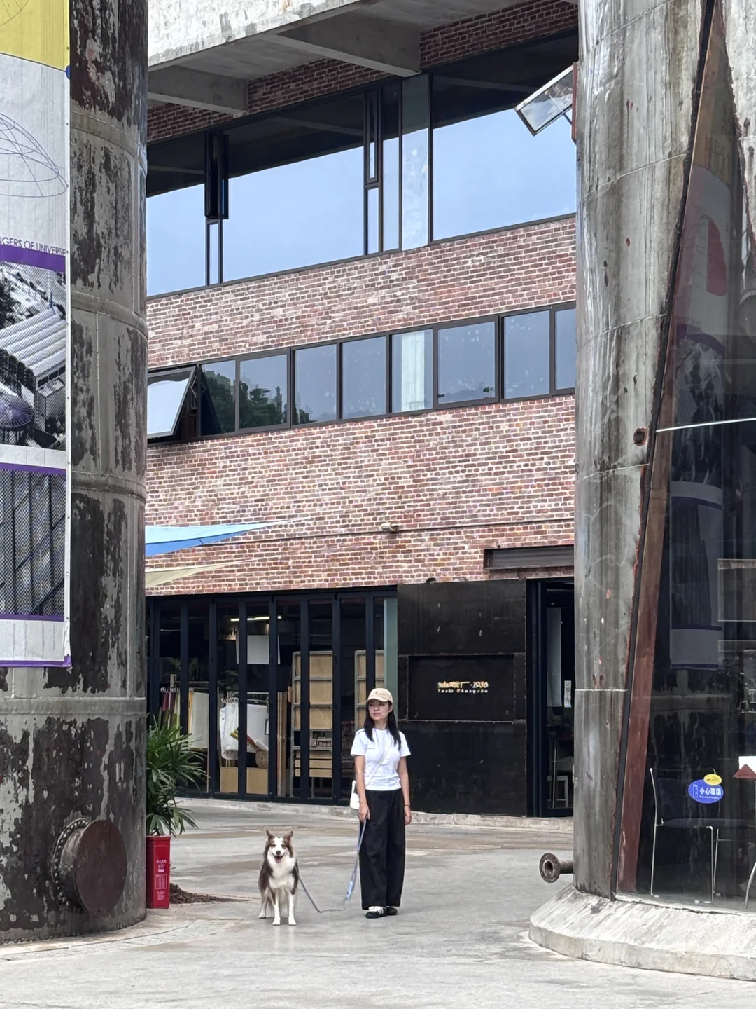 长沙油脂厂带小狗看了个狗狗展