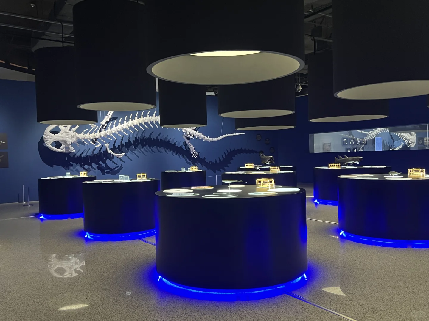 《触摸深海》特展，不看真的很遗憾！