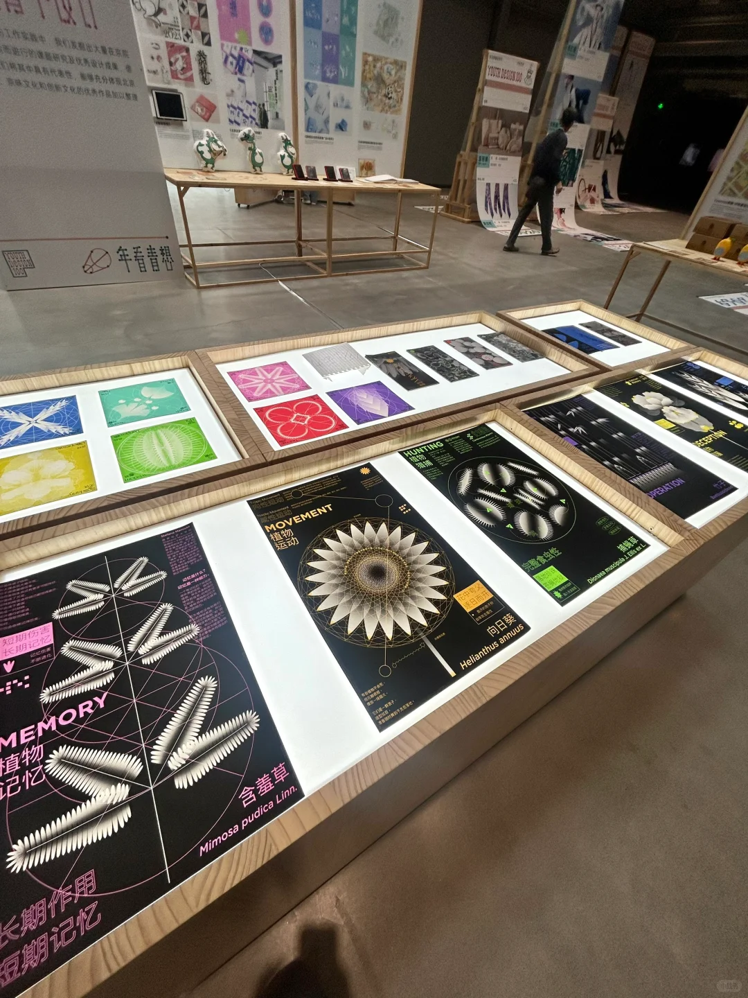 打卡北京国际设计周?｜听报告&看展